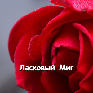 Ромашковое лето