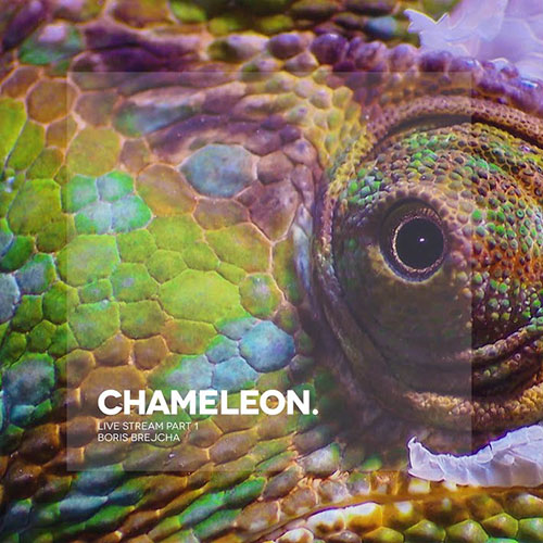 Chameleon cover